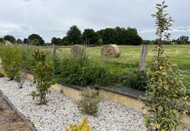 House in Changé - La Grande Saulaie - Proche circuit 24h - 6 pers House in Changé - La Grande Saulaie - Proche circuit 24h - 6 pers