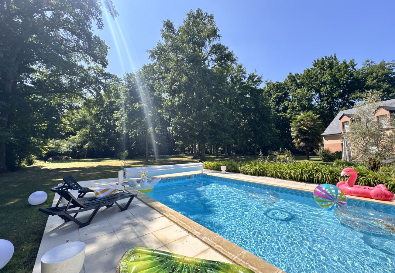 Villa en Arnage - Villa Nausicáa - Circuit des 24h du Mans - Piscine