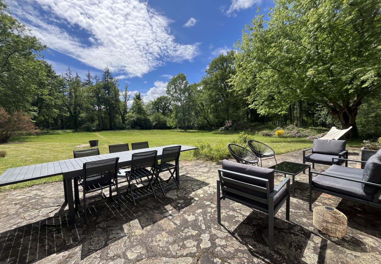 Terrasse, jardin, fauteuil 