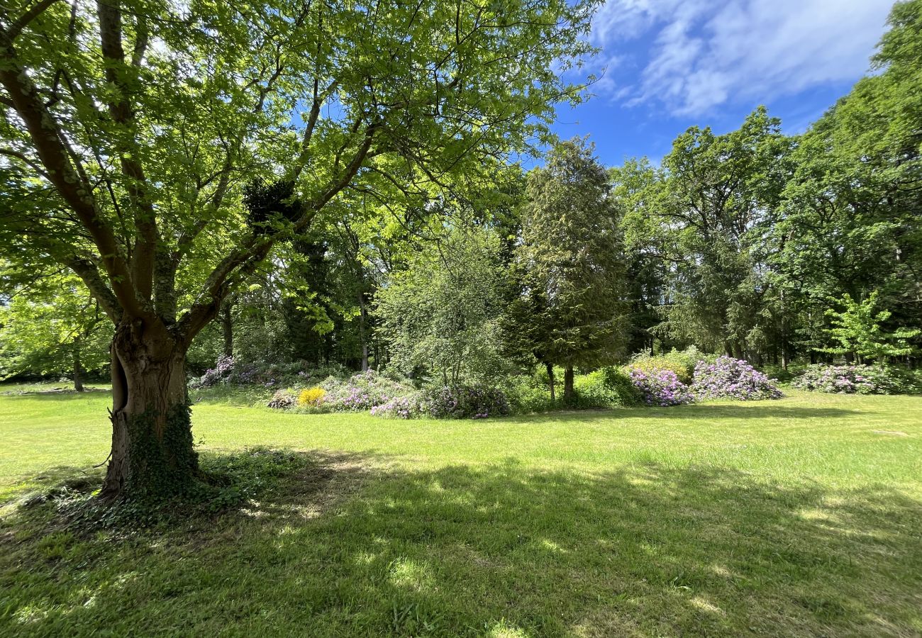 Jardin, arboré, arbres