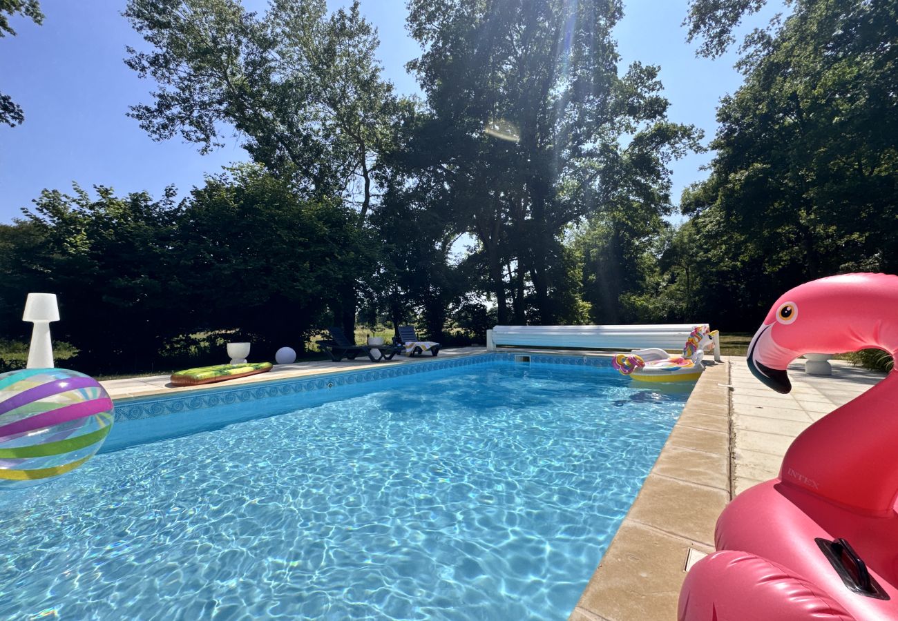 Chambres d'hôtes à Arnage - Palier Sakura - Villa Nausicáa - 8p - Piscine