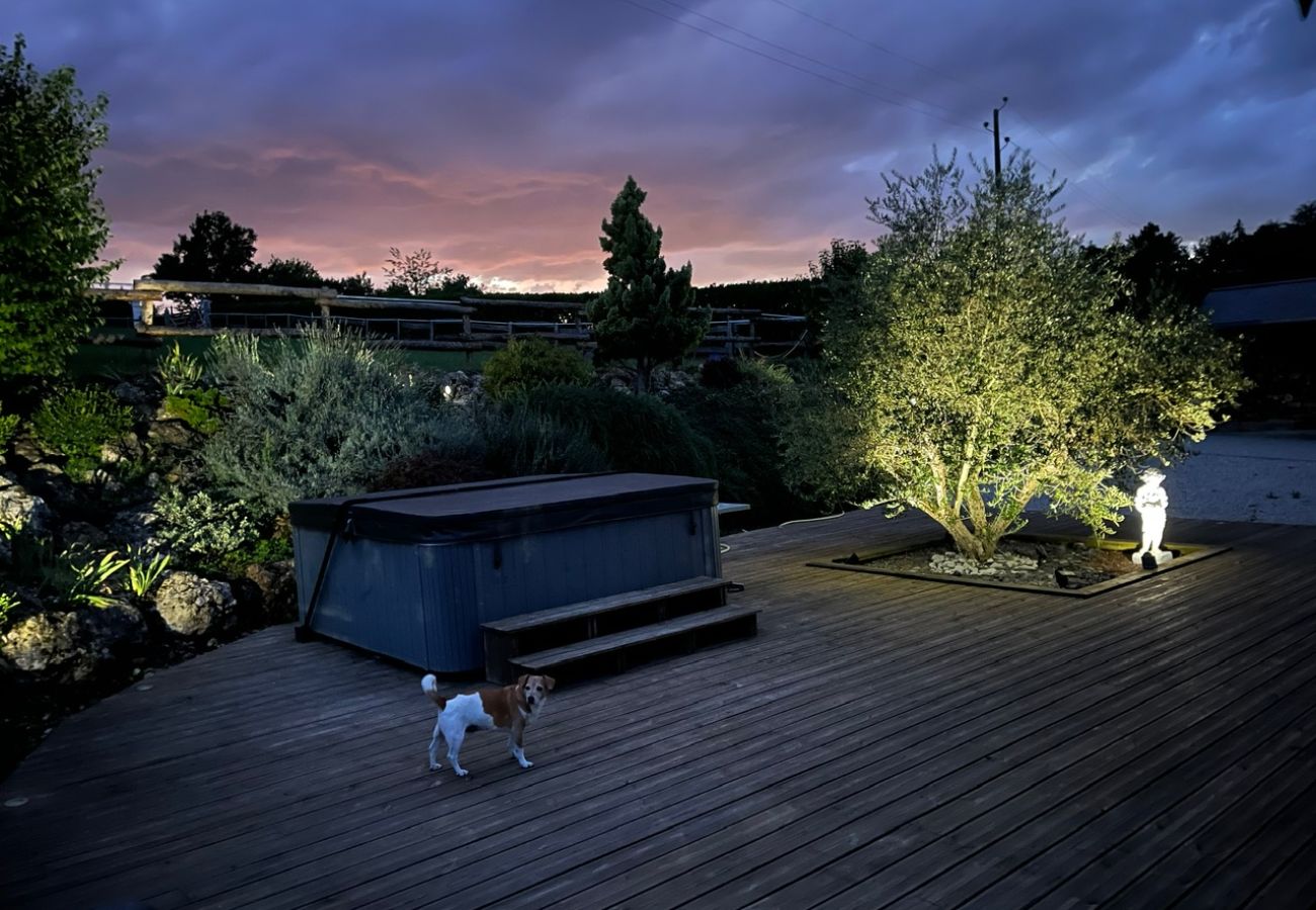 Villa à La Chartre-sur-le-Loir - La Fontaine - Détente -Piscine Jacuzzi -12P