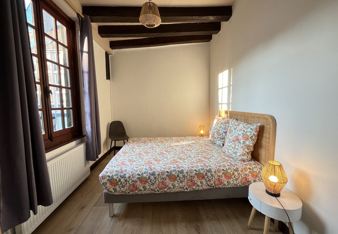 Appartement à Le Mans - Le Doré - Vieux Mans Cité Plantagenêt - 4 pers.