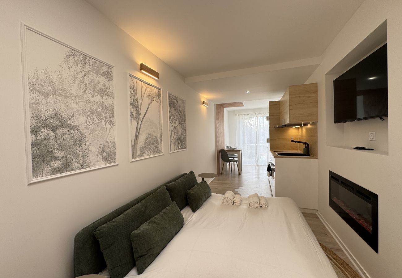 Studio à Le Mans - La Petite Mancelle - Hôpital du Mans